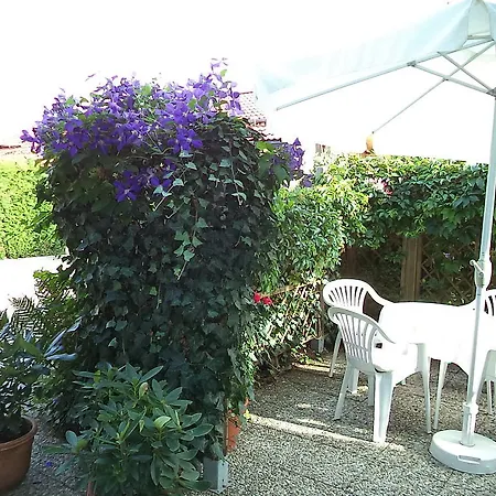 Apartment Haus Ritter *