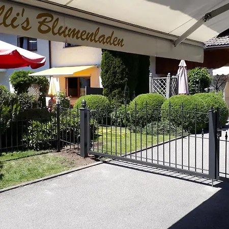 Haus Ritter Apartament